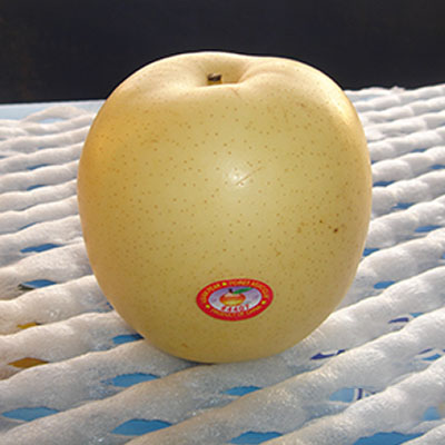 Huang Guan pear