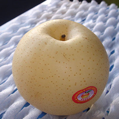 Huang Guan pear