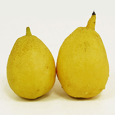 Korla pear