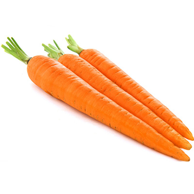 Carrot