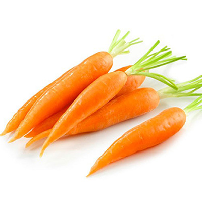 Carrot