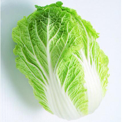 Chinese Cabbage