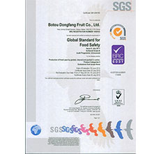 2012年BRCSGS认证
