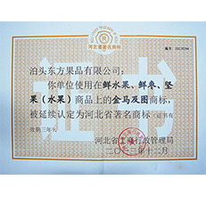 2013年金马著名商标证书
