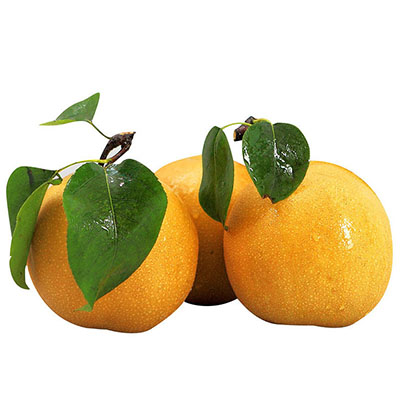 Nanshui pear